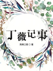 丁薇記事小說封面