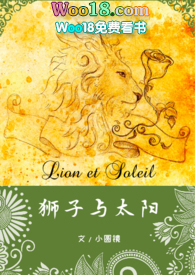 獅子與太陽（1V1甜）小說封面