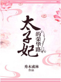 太子妃的榮華路小說封面